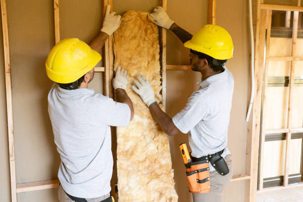 Best Professional Insulation Contractor  in USA